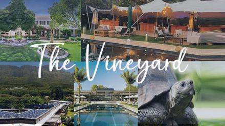 Vineyard 600x340.jpg