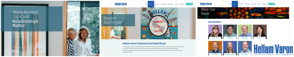 Hellam Varon website montage.png