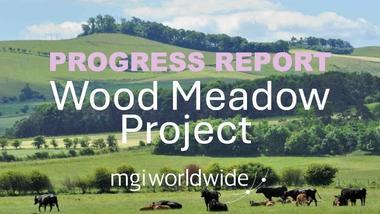 Mindrum update Mar 2025 600x340.jpg