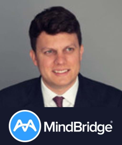 stuart-cobbe_mindbridge.jpg