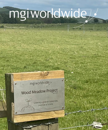 Wood meadow plaque and field.png