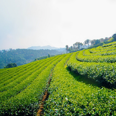 Chiang Rai for hiking