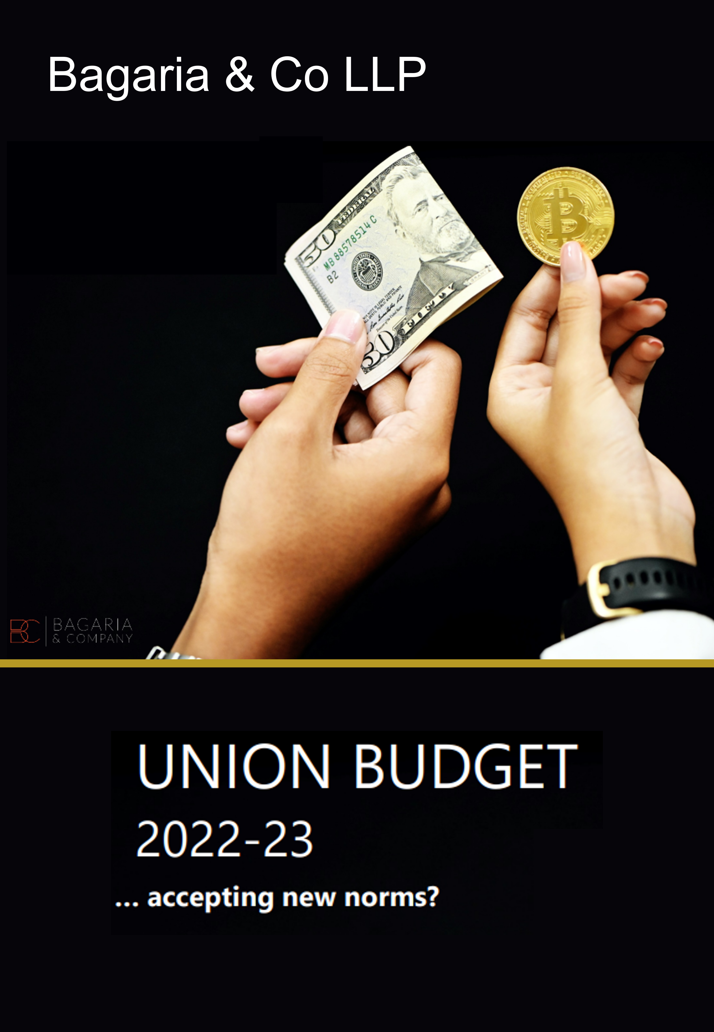 bagaria-co-llp_budget-2022.png