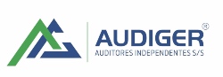 audiger-auditores-consultores-x250-copy-logo.jpg