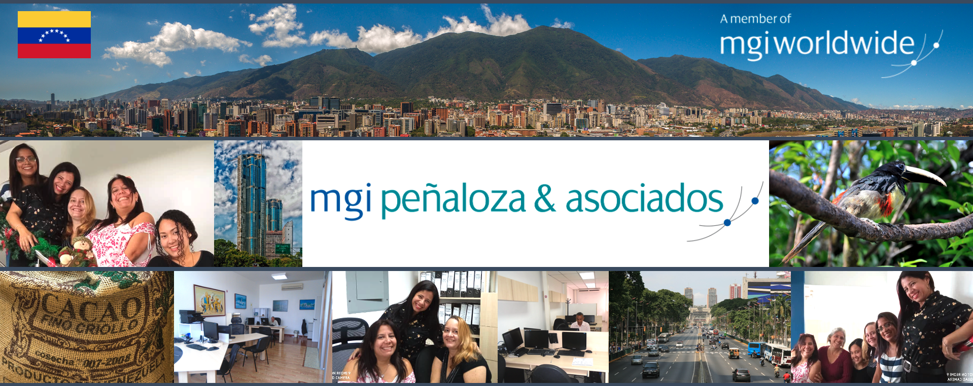 mgi-penaloza-banner.png