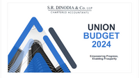 Dinodia 2024 budget.png