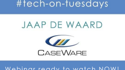 caseware_518x362.png
