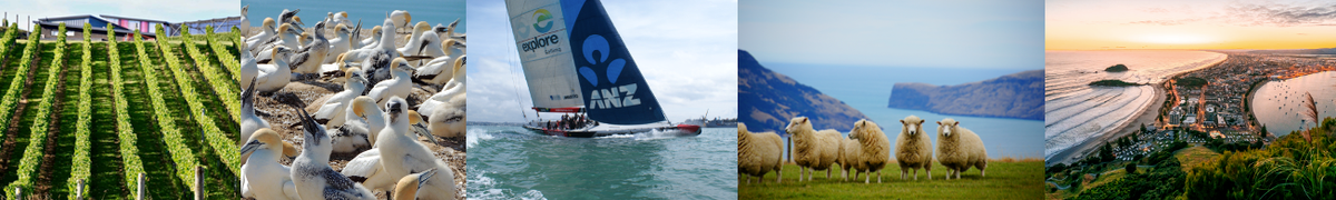 New Zealand banner montage.png