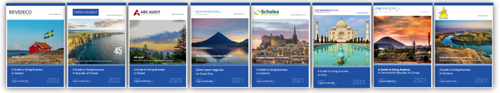 montage of doing business guide covers.png