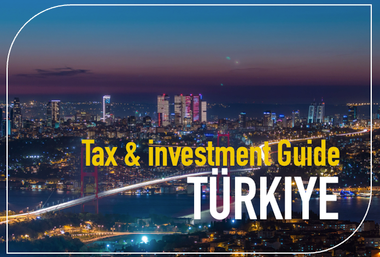Turkiye tax guide thumb.png