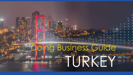 MGI Worldwide member firm Vizyon, from Istanbul, publishes NEW Guide to Doing Business in Turkey