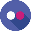 Icon: flickr